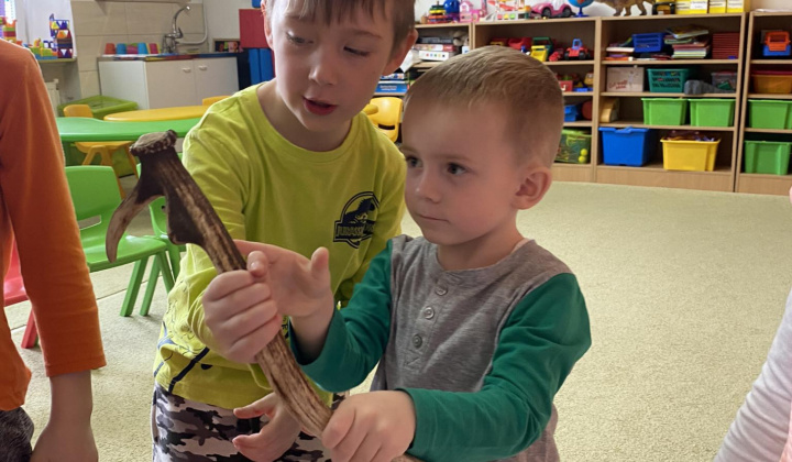 Apríl mesiac lesov 2023/2024