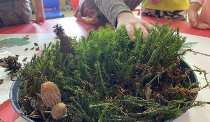 Apríl mesiac lesov 2023/2024