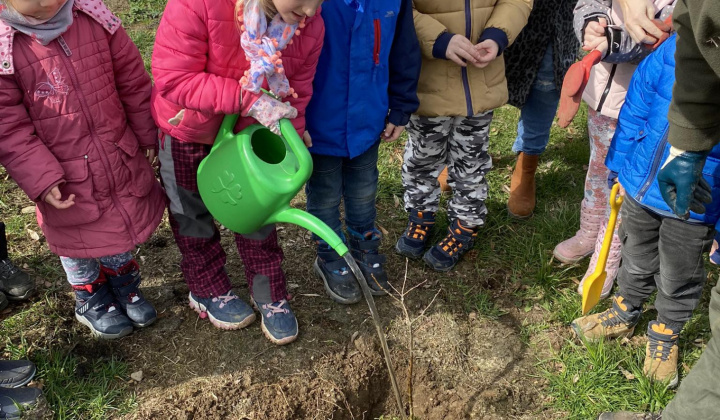 Apríl mesiac lesov 2023/2024