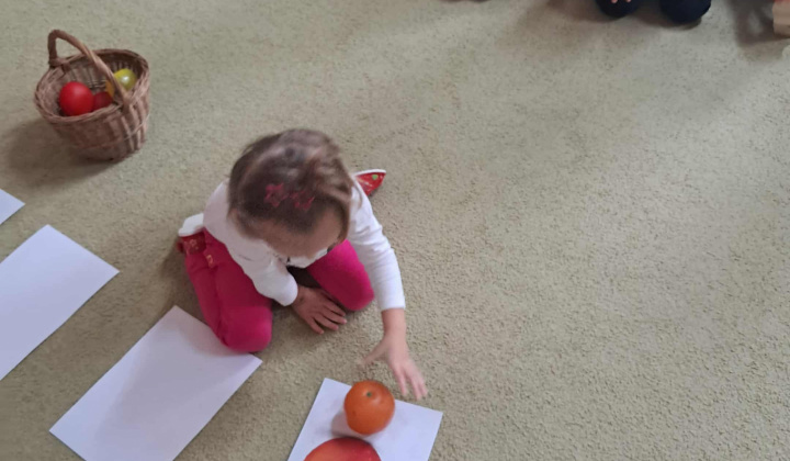 Svetový deň potravy 2025/2026