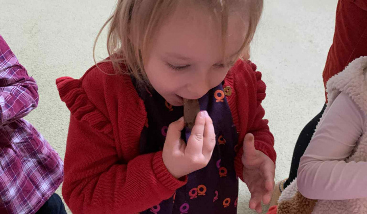 Deň Jabĺk 2025/2026