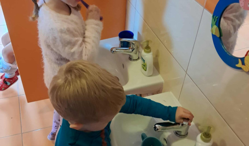 Zúbková víla 2025/2026 