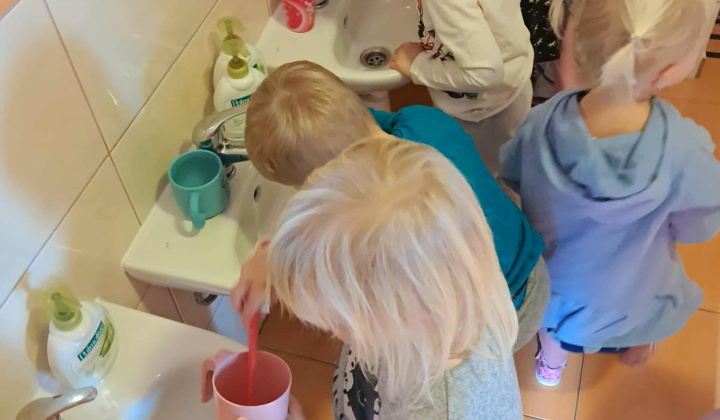 Zúbková víla 2025/2026