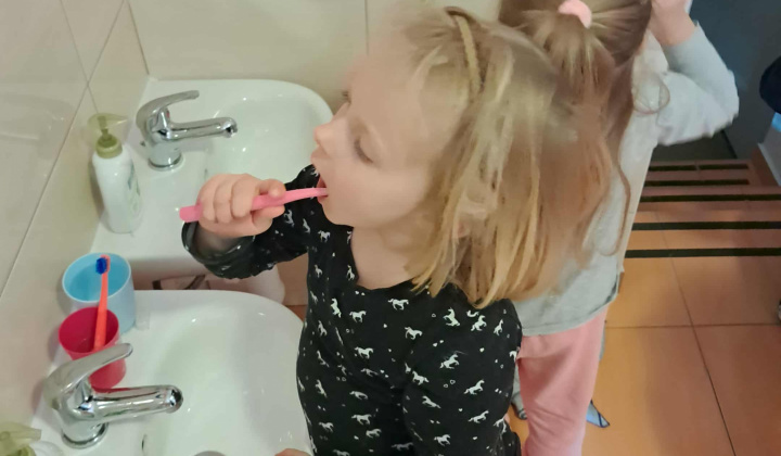 Zúbková víla 2025/2026