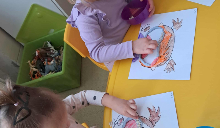 Zúbková víla 2025/2026