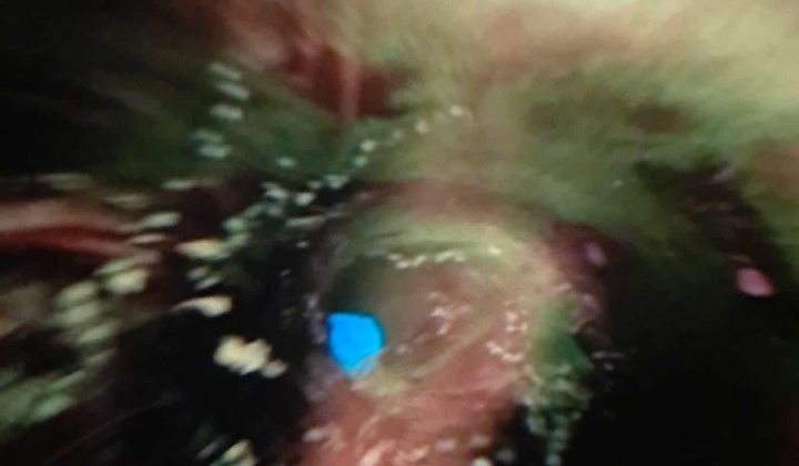 Planetárium 2025/2026