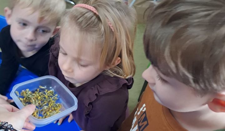 Mesiac december 2025/2026